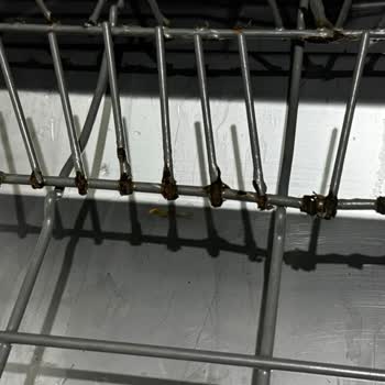 Franke Bulaşık Makinesi Sepetleri Çürüdü: Acil Yardım Talebi