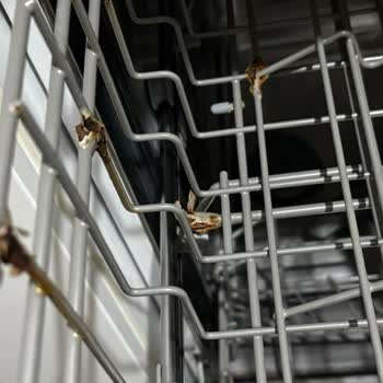 Franke Bulaşık Makinesi Sepetleri Çürüdü: Acil Yardım Talebi