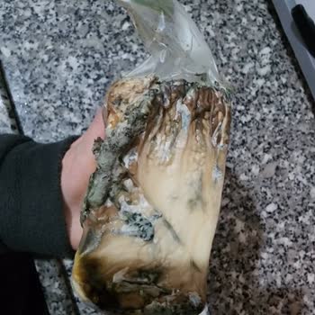 Tarihi Geçmiş Ürün Skandalı: Tüketici Sağlığı Tehlikede!