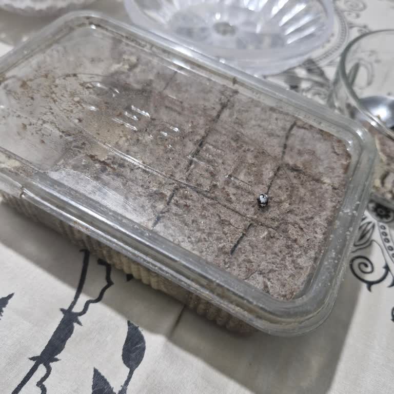 Helva İçinden Çıkan Yabancı Cisimle Mahcubiyet