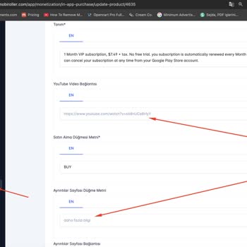 Bayi Üyeliği Sorunu: Uygulama Politikalarına Aykırı Durum Ve Kullanıcı Kaybı