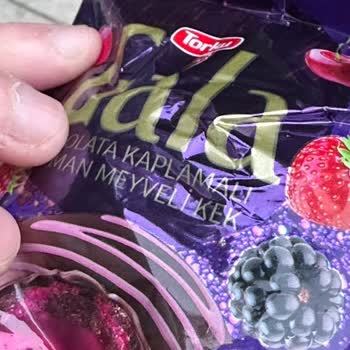 Torku Gala Kekinden Çıkan Kurt Şoku!