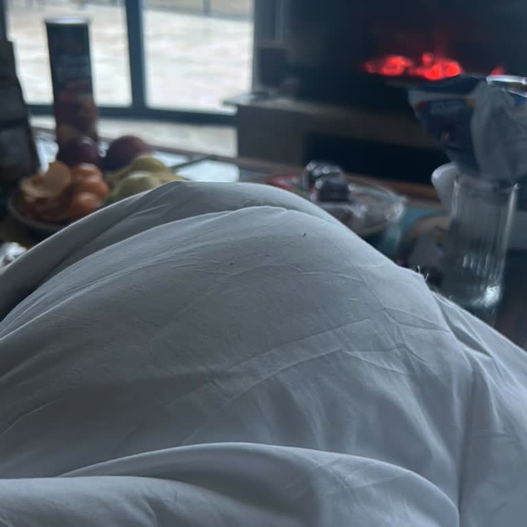 İznik Taş Mahal Lüks Villada Isıtma Ve Hizmet Sorunu