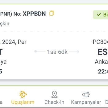 Pegasus Uçuş İptaliyle Mağduriyet Ve Çözümsüzlük