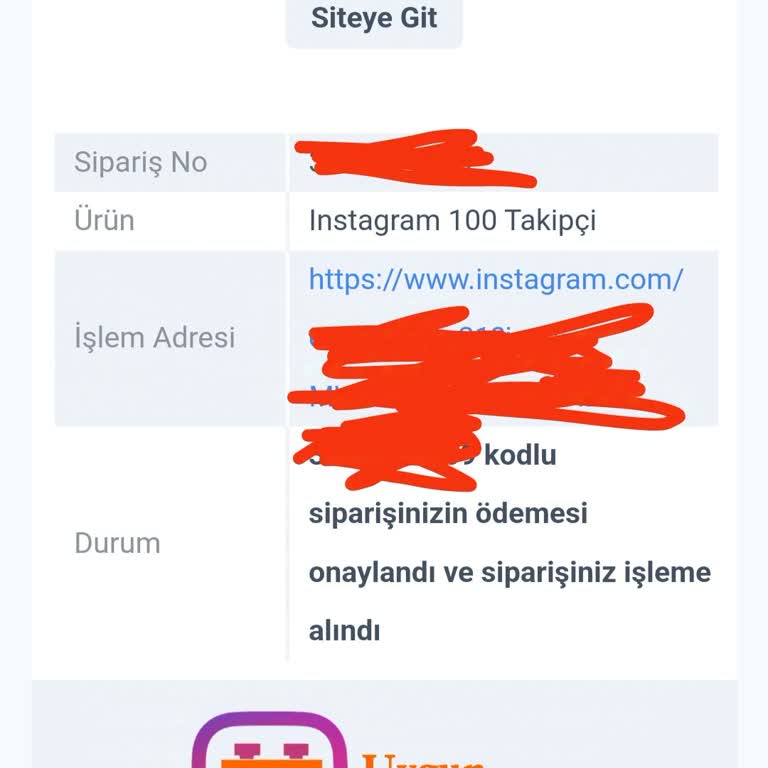 Uygun Fiyata Aldığım Takipçiler Gelmedi