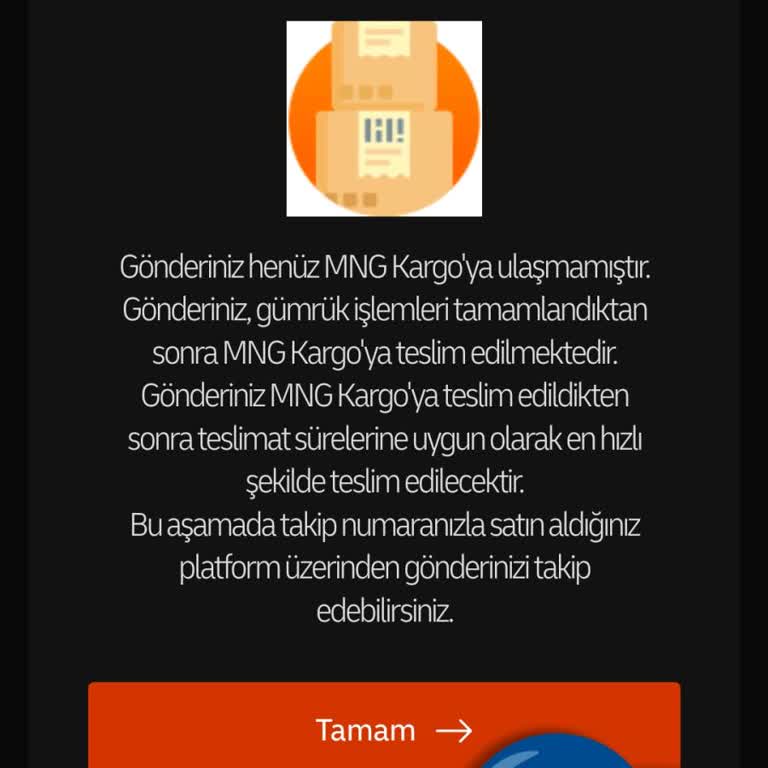 Kayıp Kargo Kabusu: MNG Kargo Teslimat Sorunu