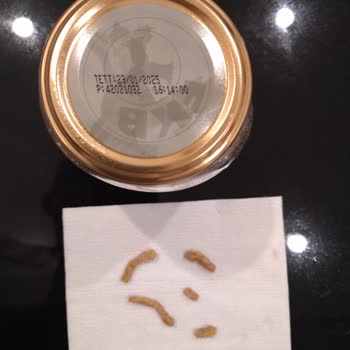 Fiskobirlik Fındık Ezmesi'nde Sert Parçacık Sorunu