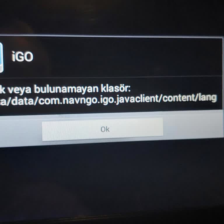 Suzuki Vitara Navigasyon Sorunu Ve Yüksek Fiyatlar