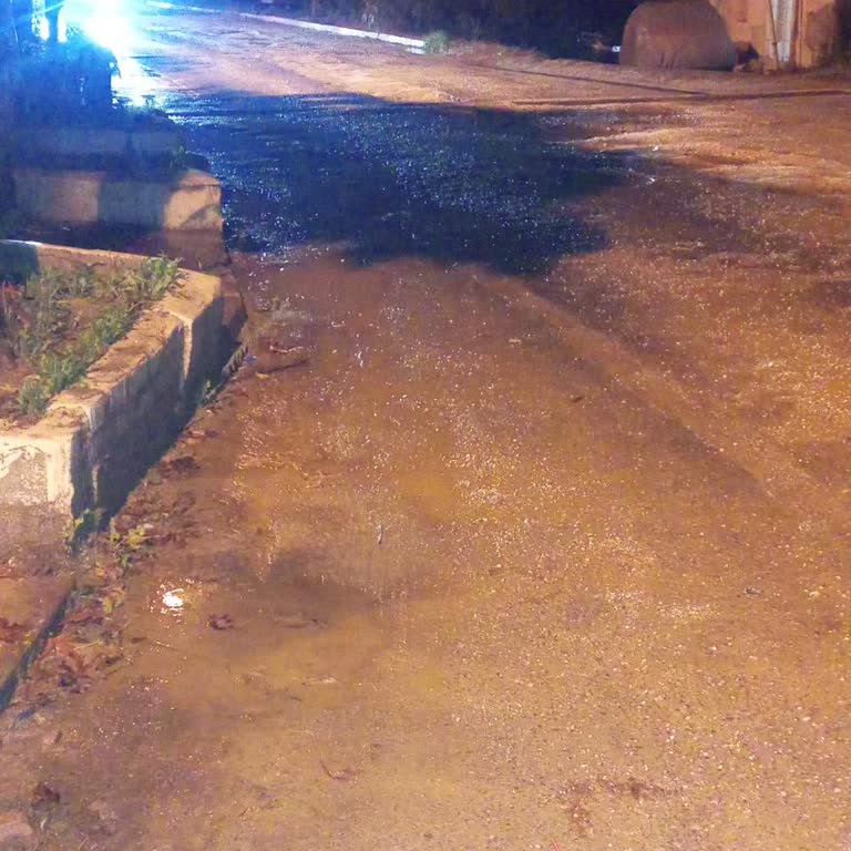 Milas Dolmuş Hizmetinde Büyük Aksaklık