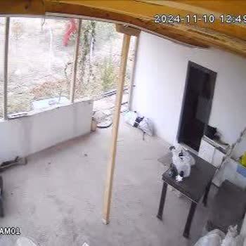 Kamera Sistemi Alışverişinde Hayal Kırıklığı