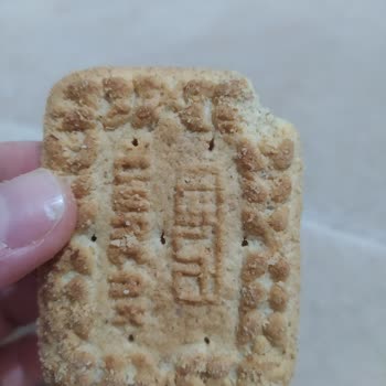 Tam Buğday Unlu Bisküvilerin Kırık Çıkması