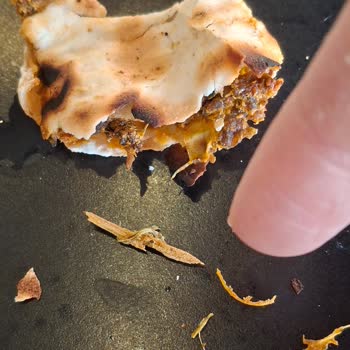 Lahmacunda Tahta Parçası Şoku