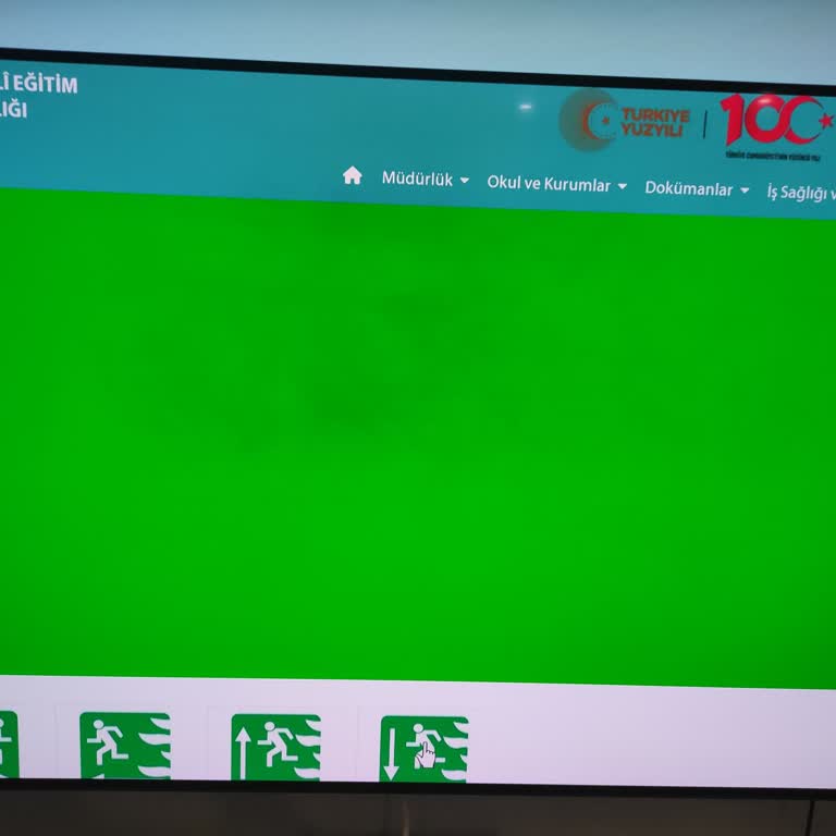 Philips OLED TV'de Yeşil Sahnelerde Bulutsu Lekeler