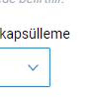 İnternet Hızı Ve Kopma Sorunları