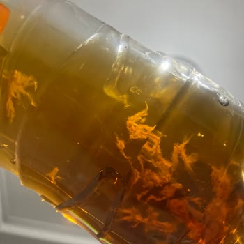 Lipton Ice Tea İçinde Yosun Benzeri Madde Şoku