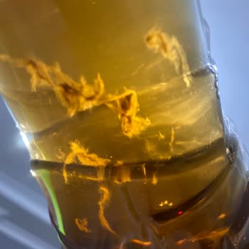 Lipton Ice Tea İçinde Yosun Benzeri Madde Şoku