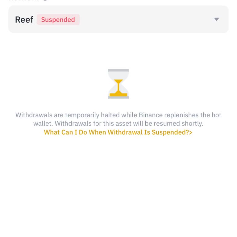 Binance Uygulamasında Reef Coin Transfer Sorunu