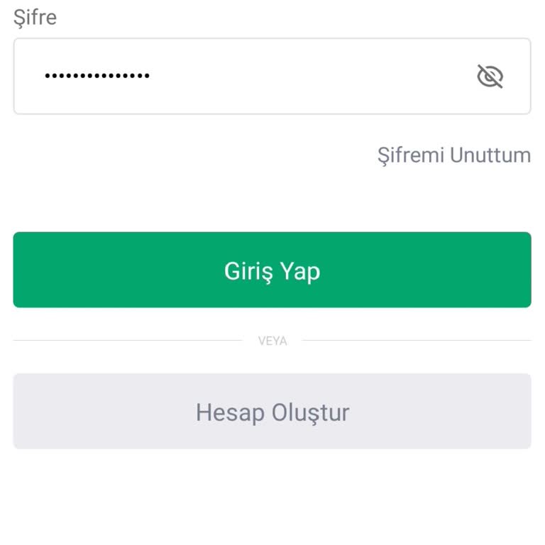 Bitçi Uygulamasında Hesap Giriş Sorunu Ve Yanıtsız Destek