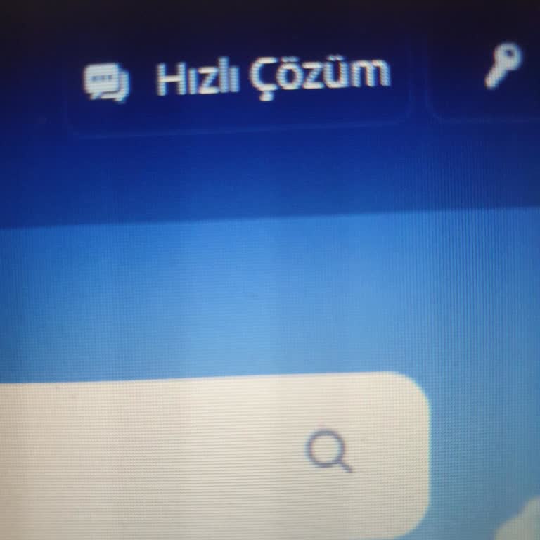 E-devlet Şifre Sorunu: Yurt Dışında Yaşayanlar İçin Çözüm Bekleniyor