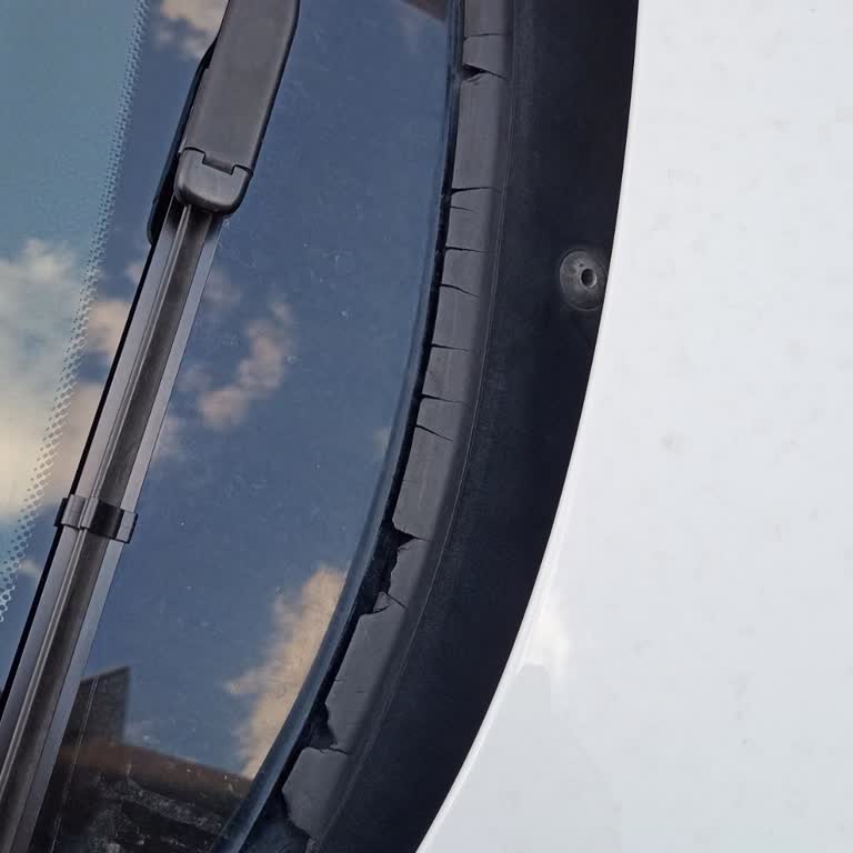 BMW F Serisi Araçlarda Kronik Cam Fitili Sorunu