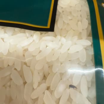 Şok Market'te Sağlık Riski: Böcekli Pirinç