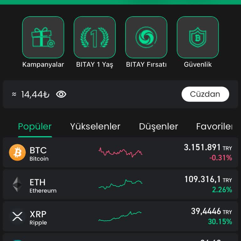 Bitay1 Coin'de Kayıp Para Ve Çözüm Beklentisi
