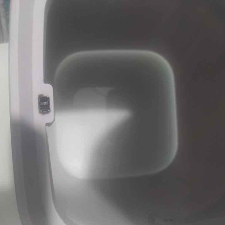 Madame Coco Çöp Kovası Klips Sorunu