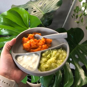 Yemek Tabaklarındaki Kalıcı Koku Sorunu