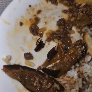 Ayvalık Haliç Park Otel'de Böcekli Yemek Ve İlgisizlik