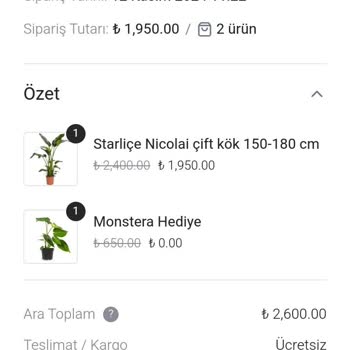 Teslimat Tarihi Ve İletişim Sorunları