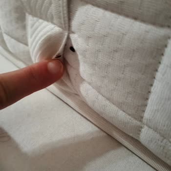 Kozaklı Roza Resort Otel'de Böcek İstilası