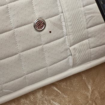 Kozaklı Roza Resort Otel'de Böcek İstilası