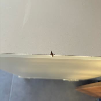 Cam Balkon Montajında Gecikme Ve Kalitesiz Hizmet Nedeniyle Yaşanan Maddi Zarar