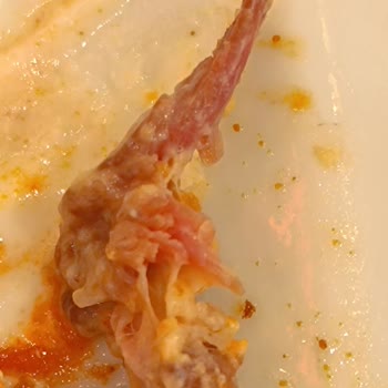 Soğuk Ve Sert Beyti Döner Deneyimi