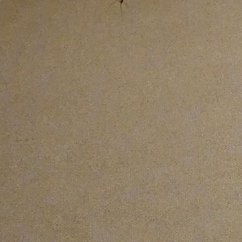 The Sign Kocaeli Thermal Spa Hotel Niye Böyle