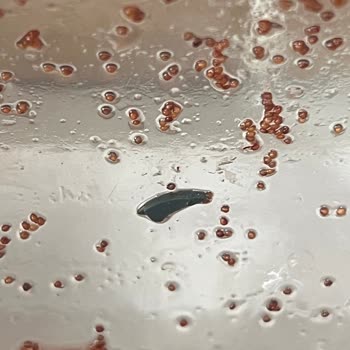 Aro Çilek Reçelinde Plastik Parçalar Şoku