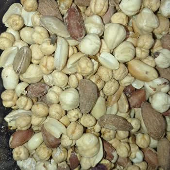 Migros Sanal Market Alışverişinde Böcek Şoku