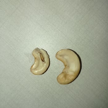 Migros Sanal Market Alışverişinde Böcek Şoku