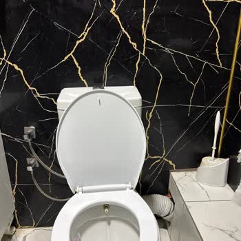 Mojo Lounge Cafe'de Hijyen Sorunları Ve Fare Şoku