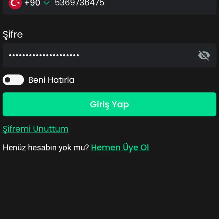 Bitay Teknoloji'de Hesap Erişimi Sorunu