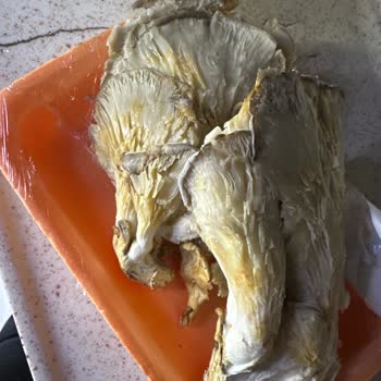 Eki aç