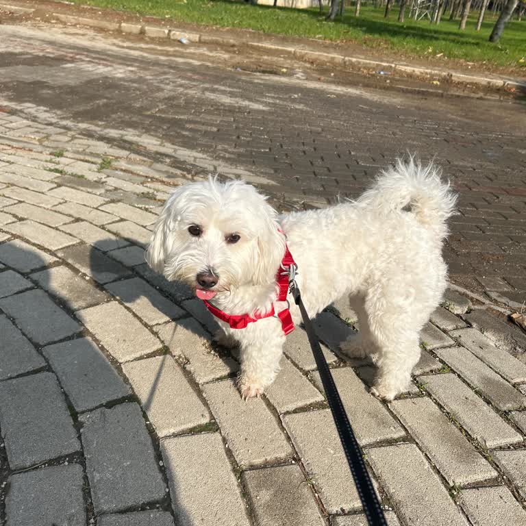 Bursa'da BİM Mağazasında Üslupsuz Davranışlar