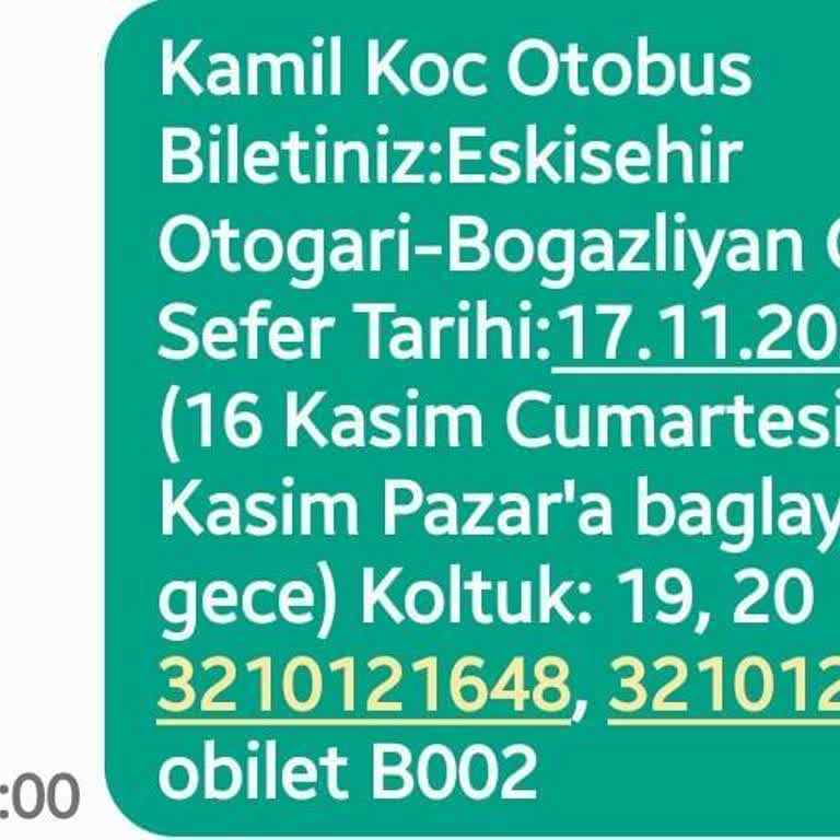 Arızalı Otobüs Ve Yanıltıcı Koltuk Seçimi Yolculuğu Kabusa Çevirdi
