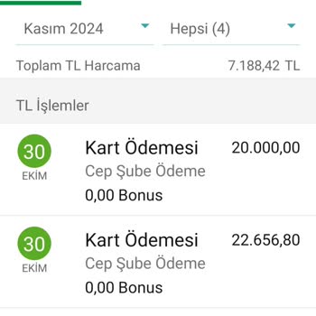 Kredi Kartı Yapılandırmasında Sorunlar Ve Yetersiz Destek
