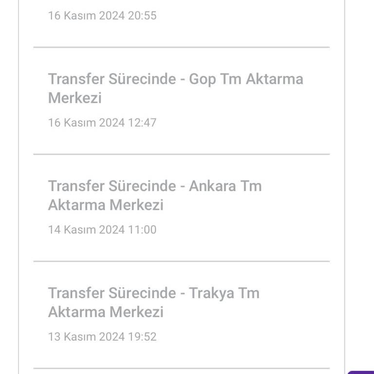 Kargom Neden Geziyor?