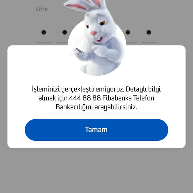 Fibabanka'da Hesap Erişim Sorunu