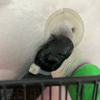 Arçelik Derin Dondurucu Sorunu Ve Yetersiz Çözüm