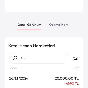 Ticari Kredi Ödemesinde Yaşanan Sorunlar