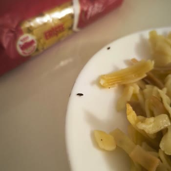 Makarna Paketlerinden Böcek Çıkması
