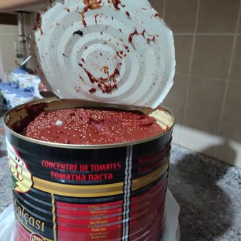 Bozuk Salça Mağduriyeti: Çözüm Bekliyorum